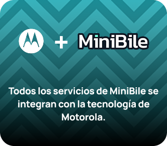 Elemento gráfico de la web de MiniBile
